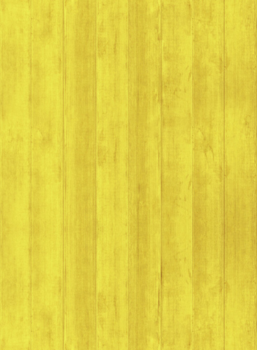 攻击网站服务器