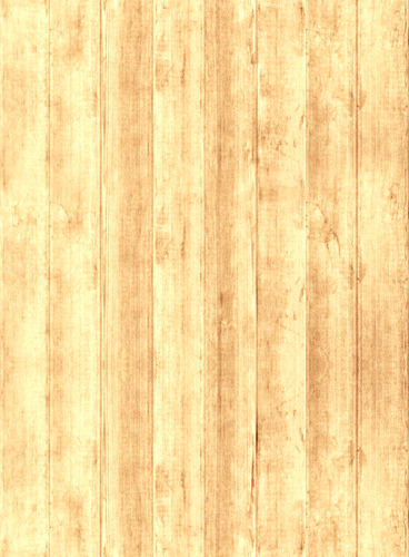 攻击网站服务器