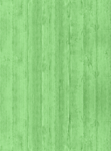 攻击网站服务器